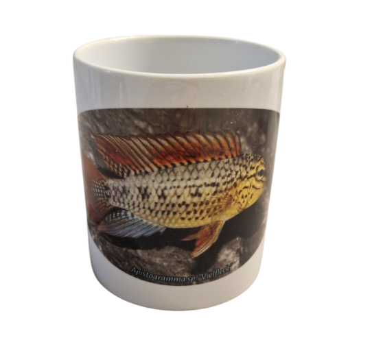 Porzelantasse Apistogramma sp."Vielfleck"