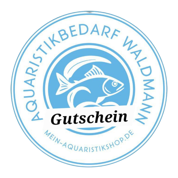 10,00€ Geschenkgutschein