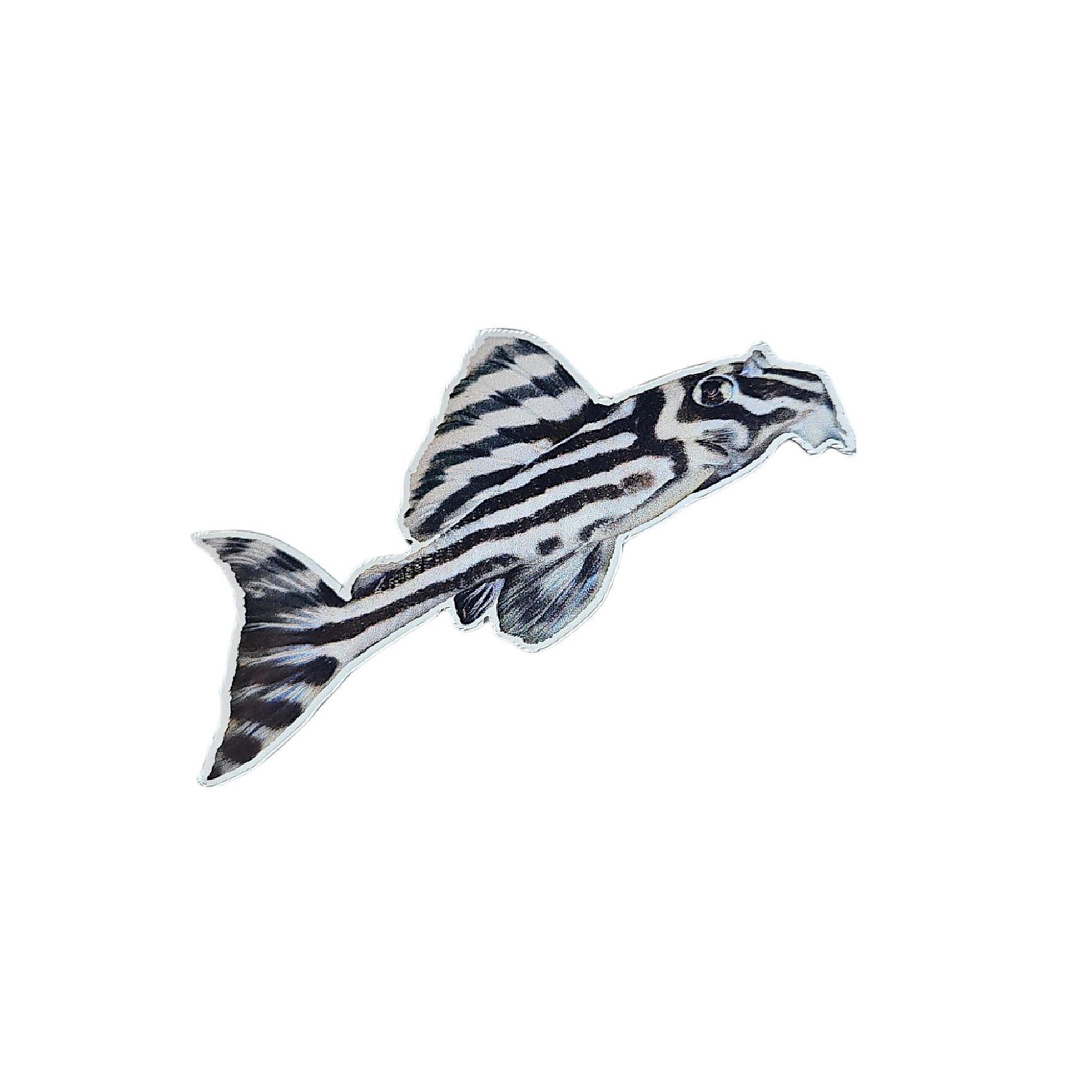 Kühlschrankmagnet L46 Zebrawels
