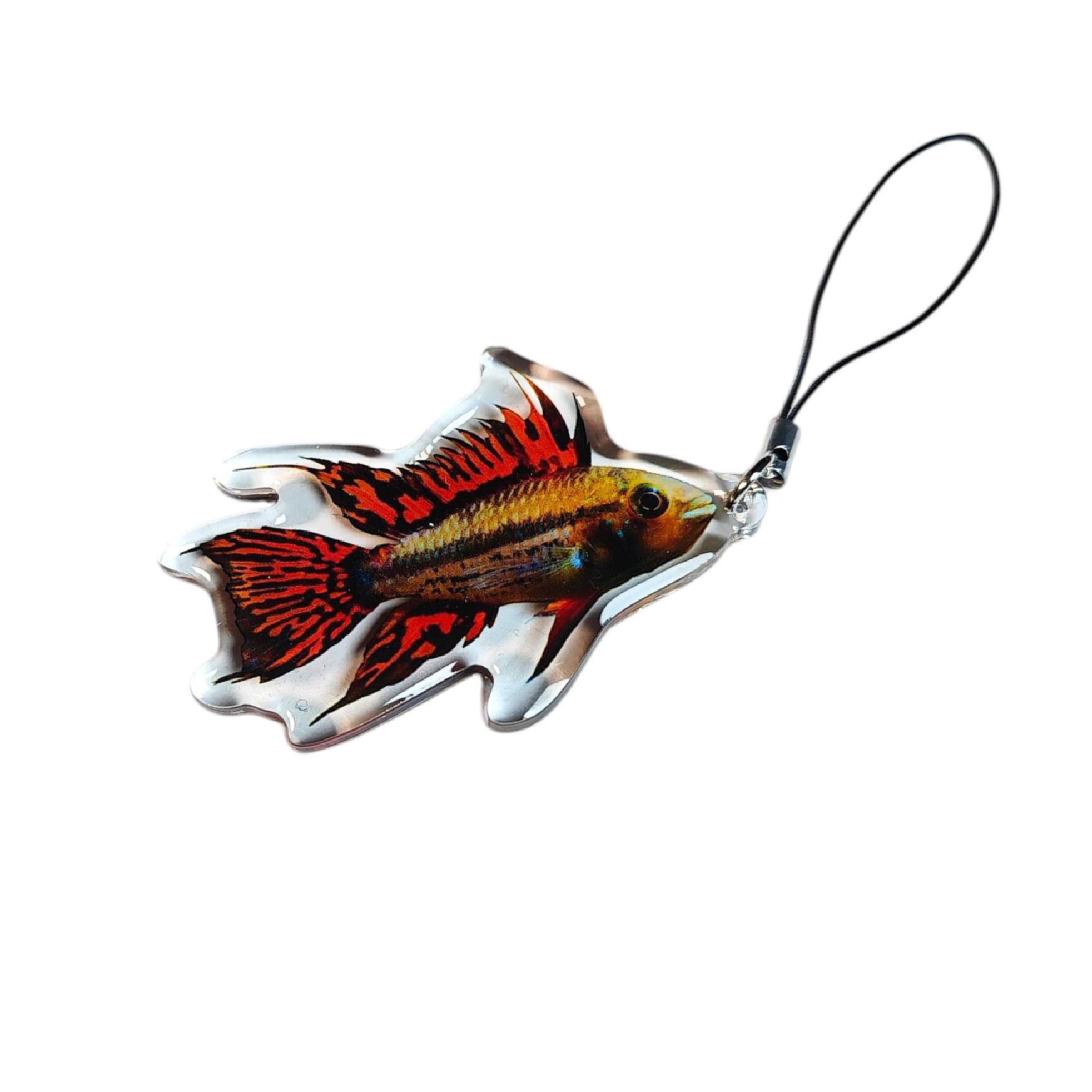 Schlüsselanhänger Apistogramma Kakadu