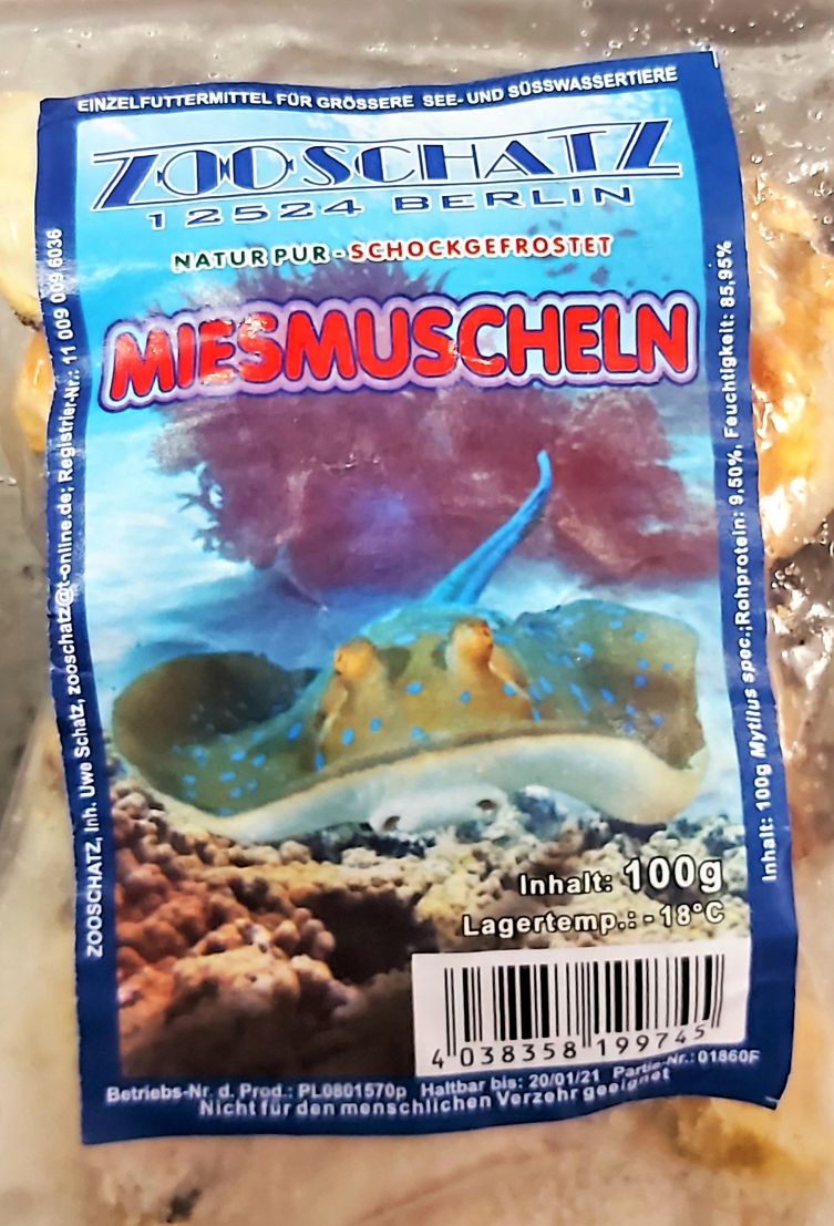 Miesmuschelfleisch ganz