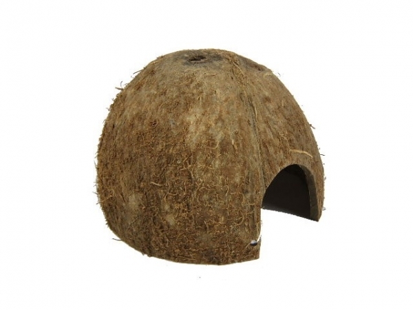 Kokosnuss Höhle