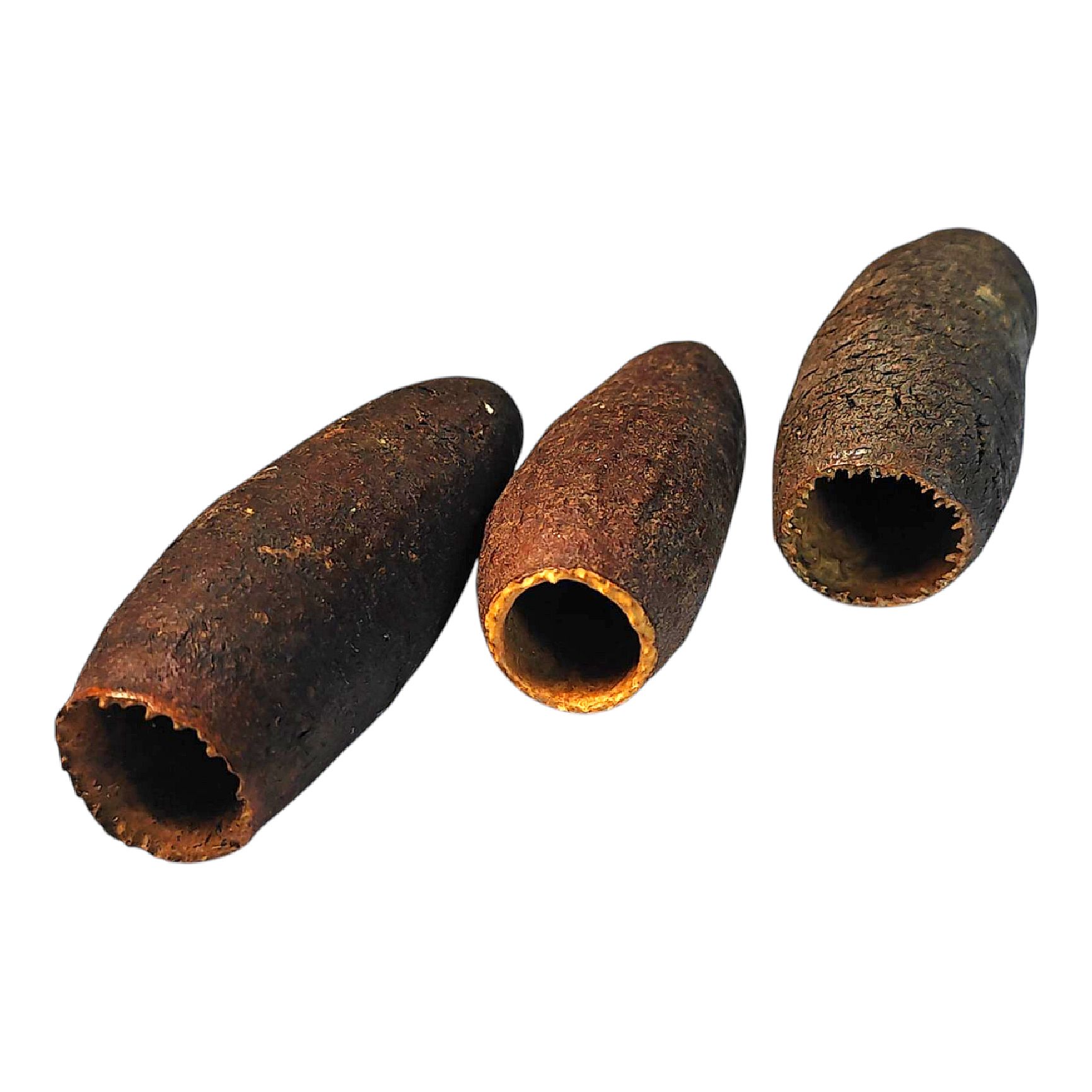 Jecetiba Kapsel - Cariniana legalis